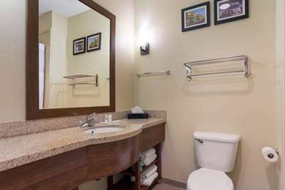 Comfort Suites North Mobile 5