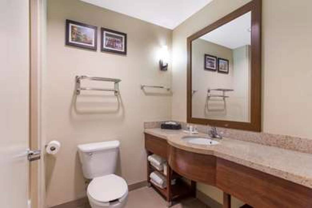 Comfort Suites North Mobile 7