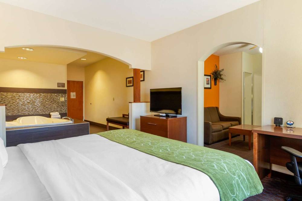 Comfort Suites Stevensville - St. Joseph 7
