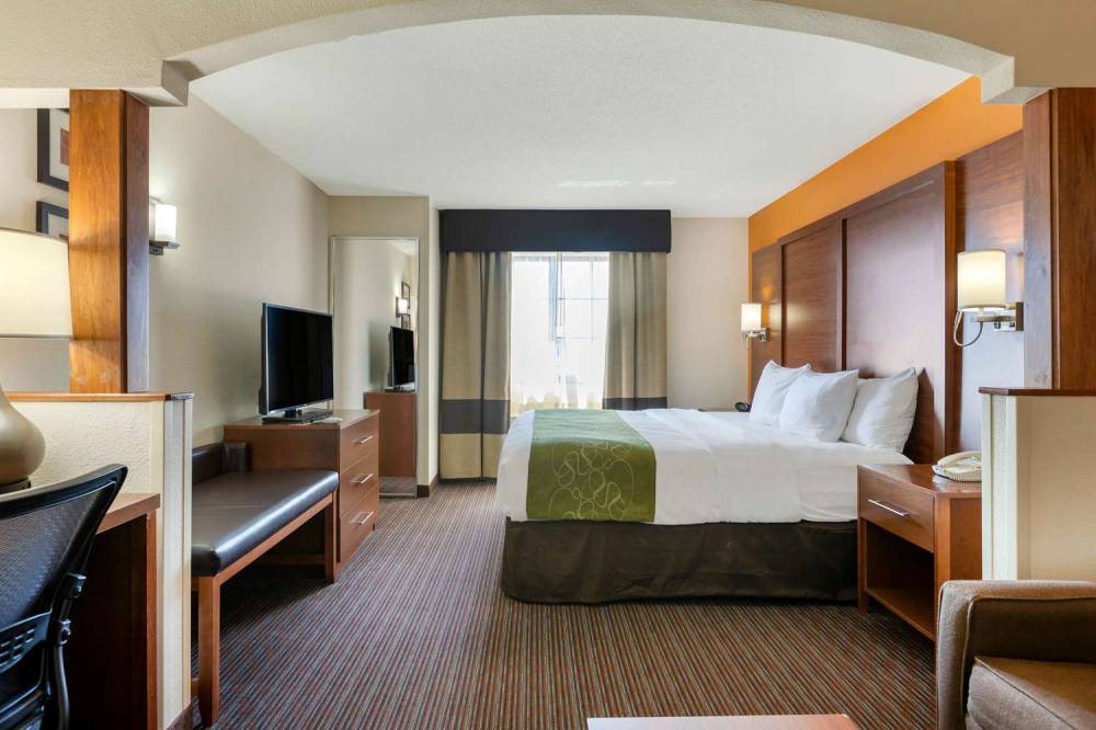 Comfort Suites Stevensville - St. Joseph 2