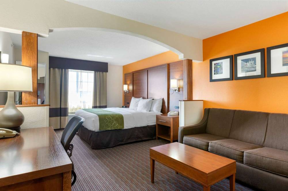 Comfort Suites Stevensville - St. Joseph 8