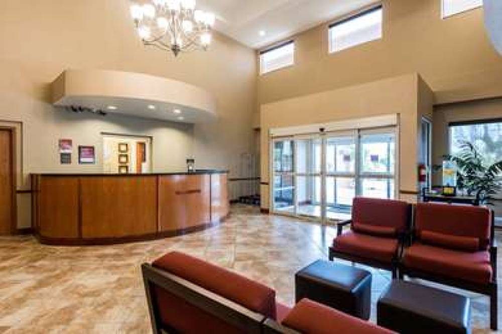 Comfort Suites Tampa Airport North 6