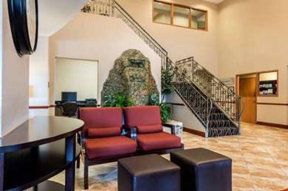 Comfort Suites Tampa Airport North 4