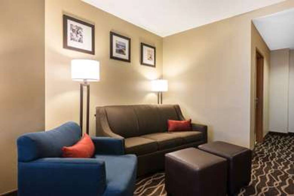 Comfort Suites Tampa Airport North 8