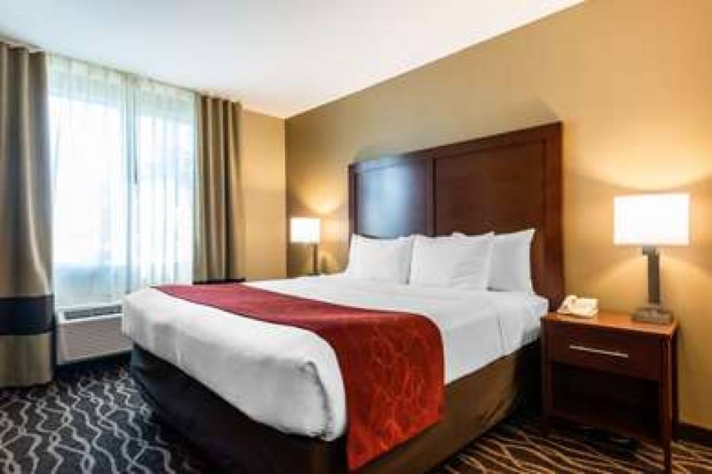 Comfort Suites Tampa Airport North 9