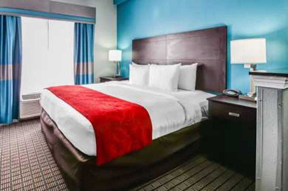 Comfort Suites Tampa - Brandon 8