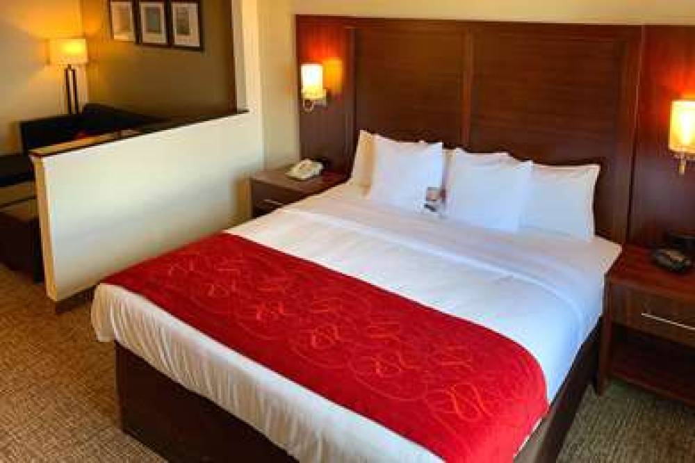 Comfort Suites Texas Ave. 7