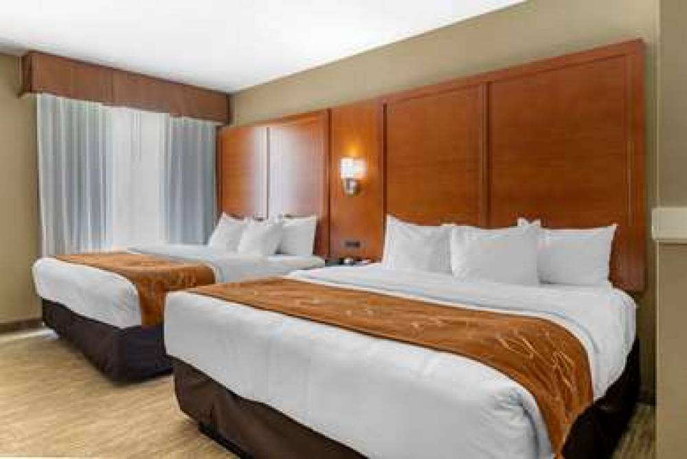 COMFORT SUITES UNIVERSITY 10
