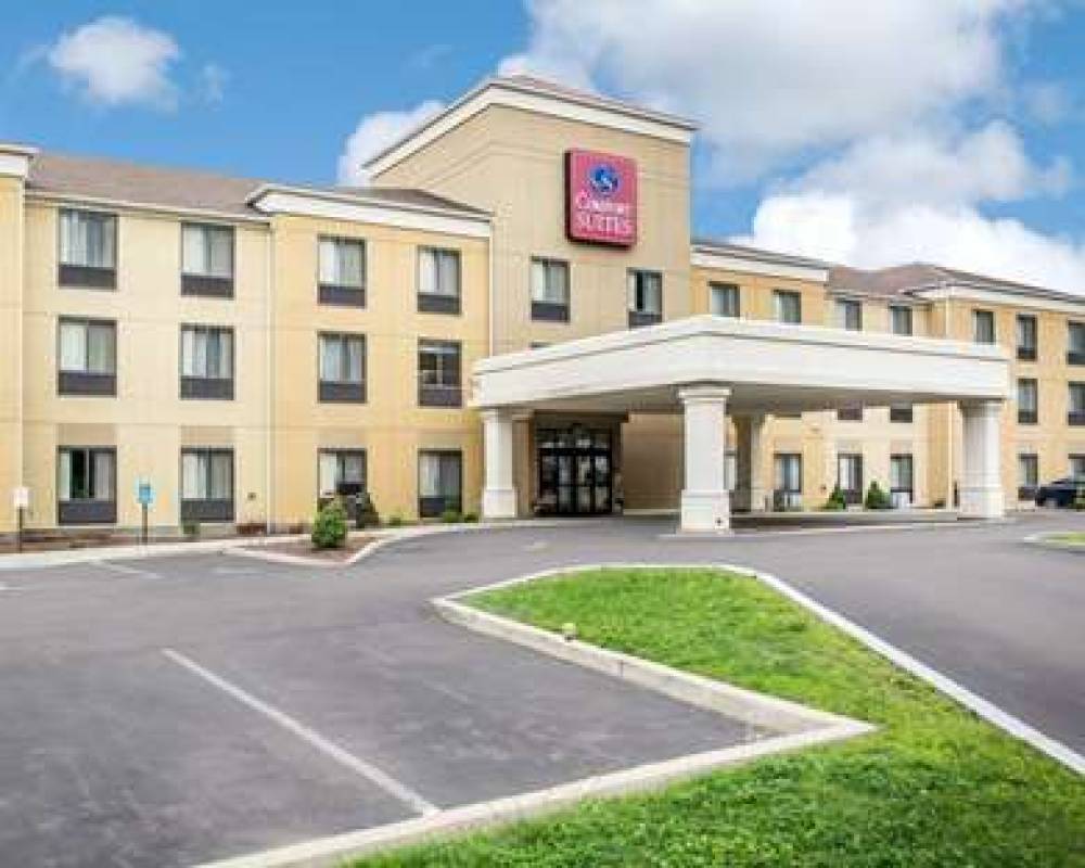 Comfort Suites Vestal Near University