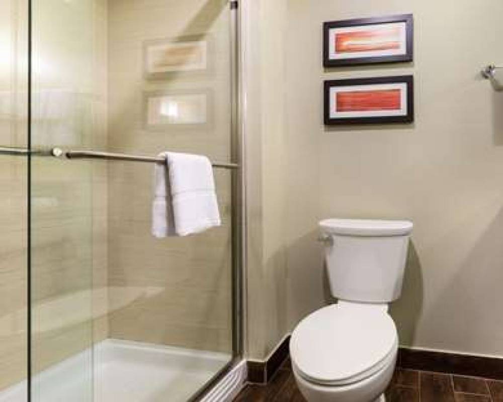 COMFORT SUITES WESTCHASE SOUTH 9
