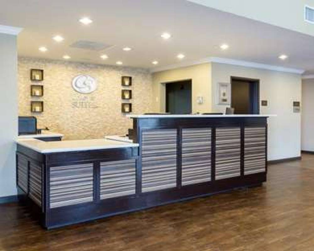COMFORT SUITES WESTCHASE SOUTH 6