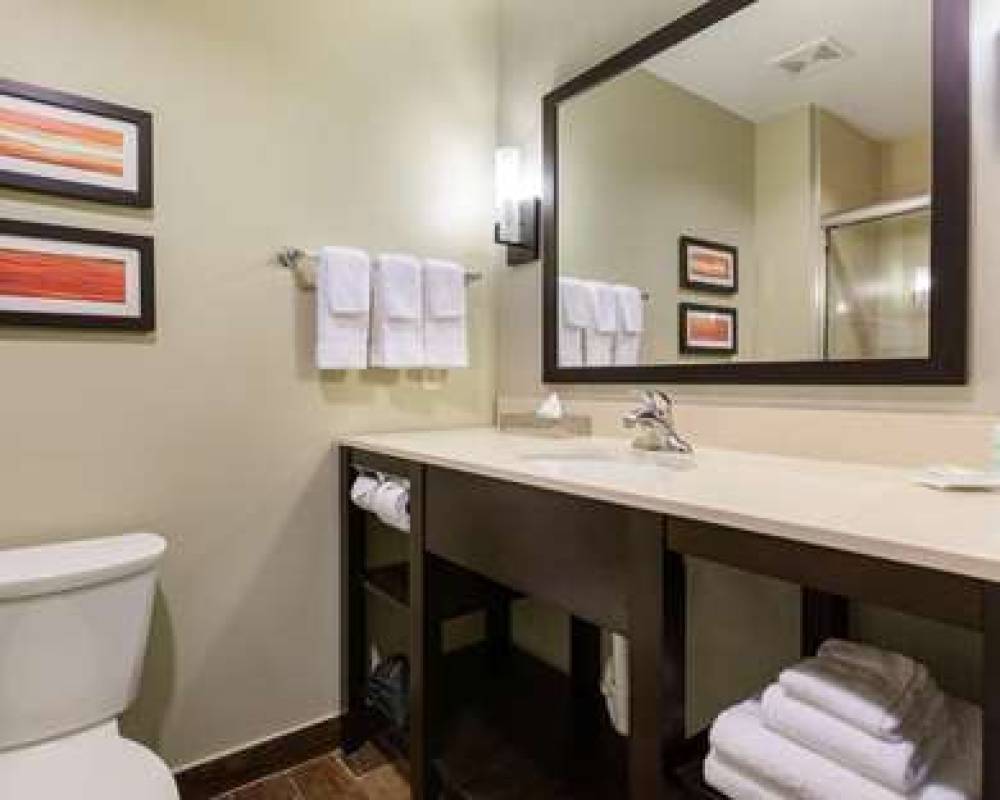 COMFORT SUITES WESTCHASE SOUTH 8