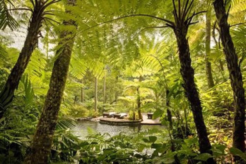 COMO Shambhala Estate Bali 6