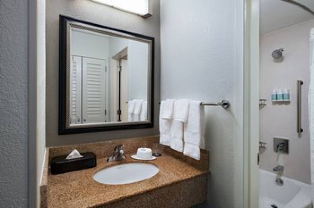 Courtyard By Marriott Dallas Arlington Entertainment District 7