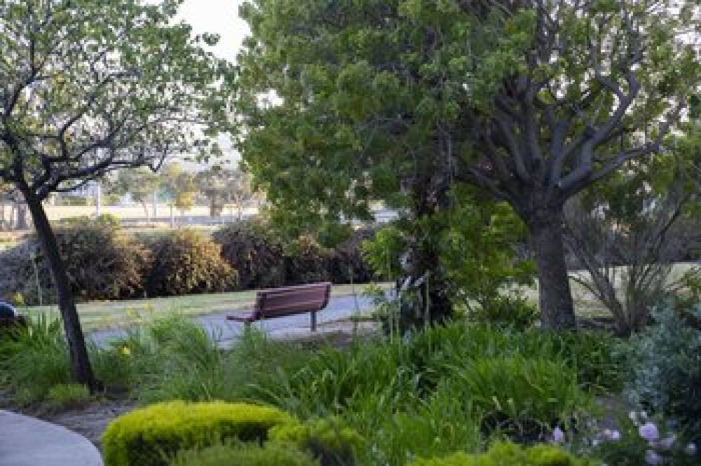 Courtyard San Francisco Airport Burlingame 4