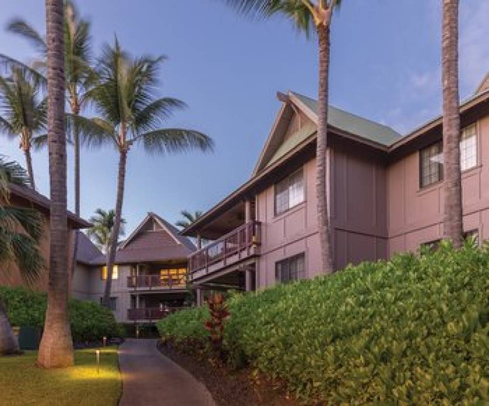 CW KONA HAWAIIAN 10