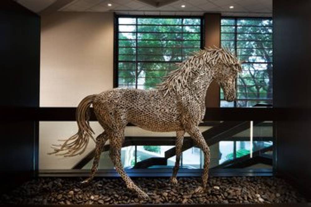 Dallas Fort Worth Airport Marriott 6