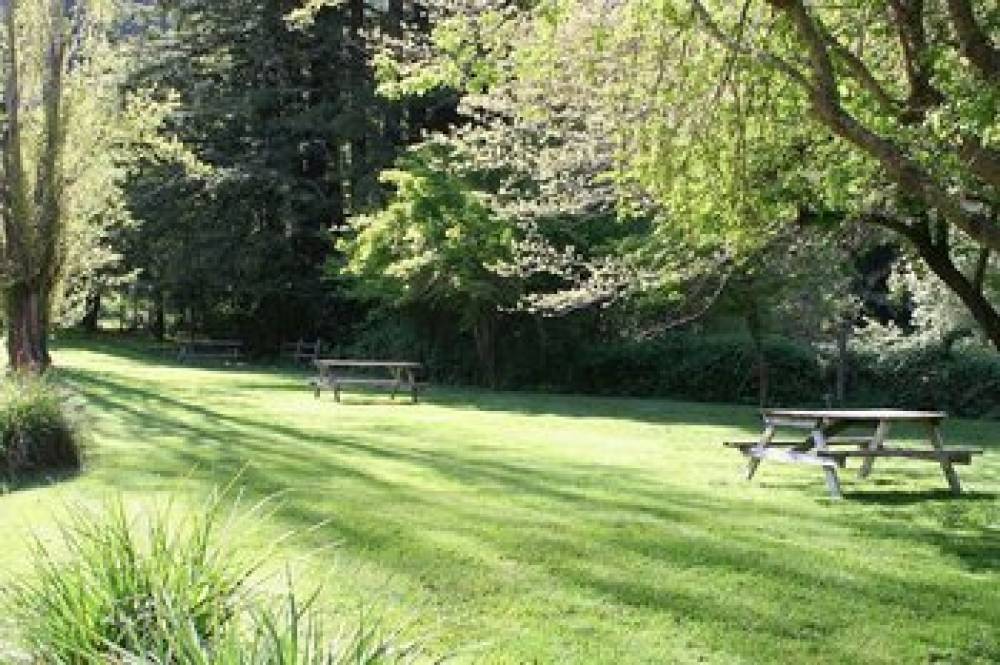 Dawn Ranch 8