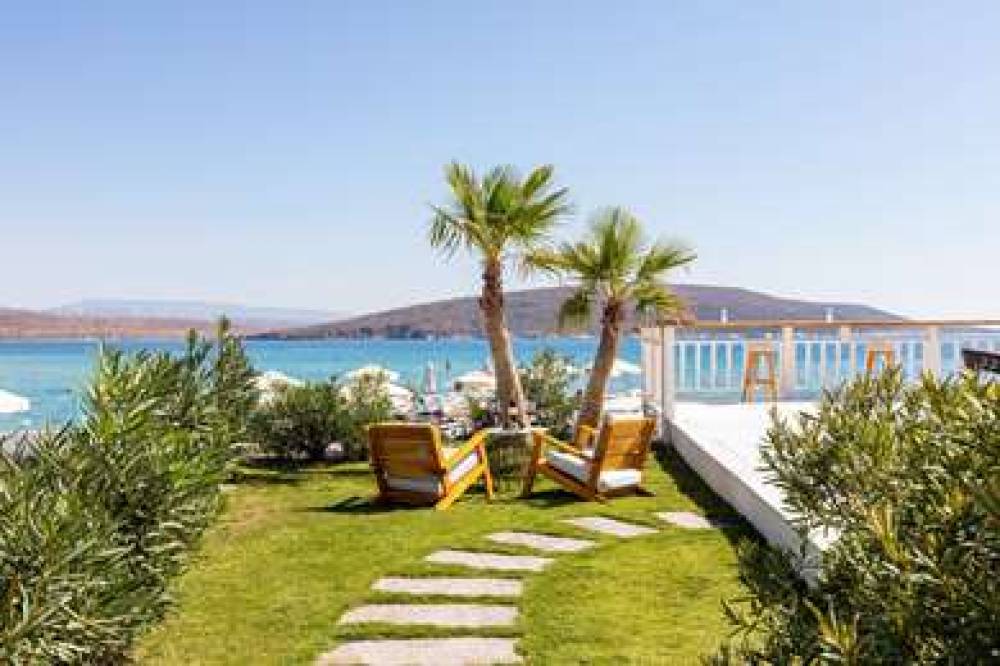 DESIGN PLUS SEYA BEACH HOTEL 3