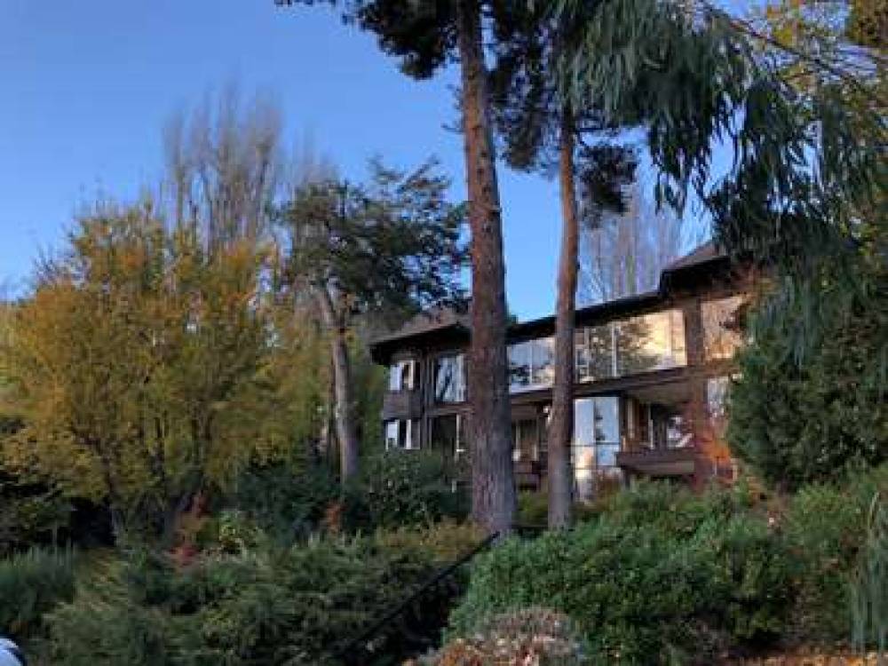 Design Suites Bariloche 3