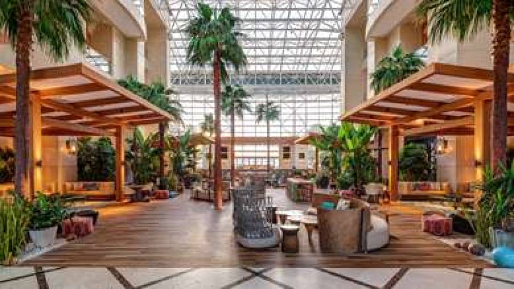 DIMPLOMAT BEACH RST CURIO BY HILTON 10