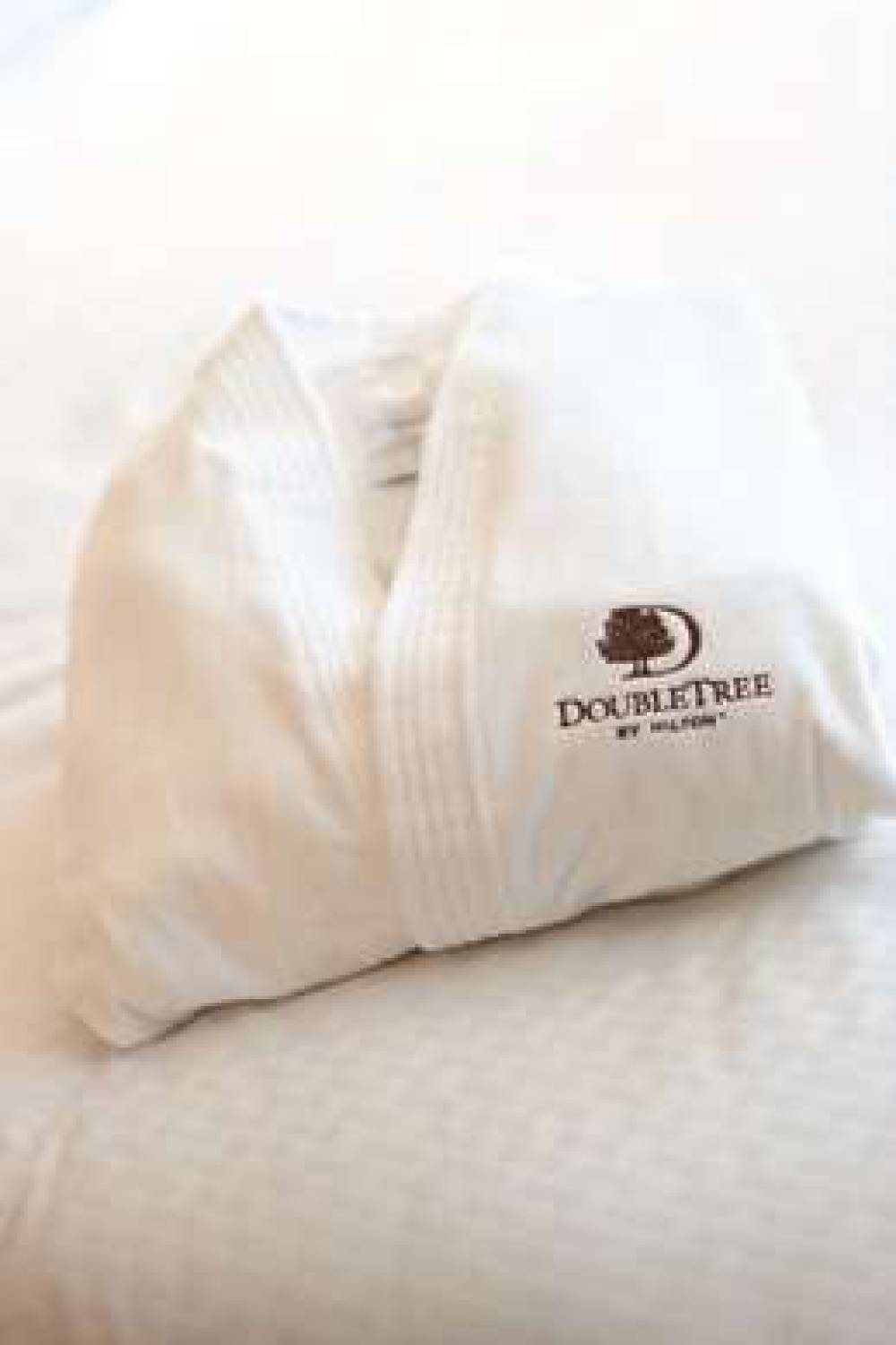 DOUBLETREE BY HILTON LONDON - HYDE 6