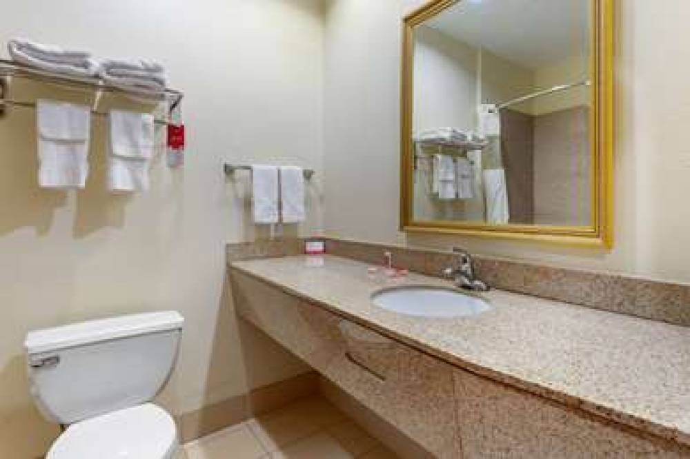 ECONO LODGE EUTAW I-20 6