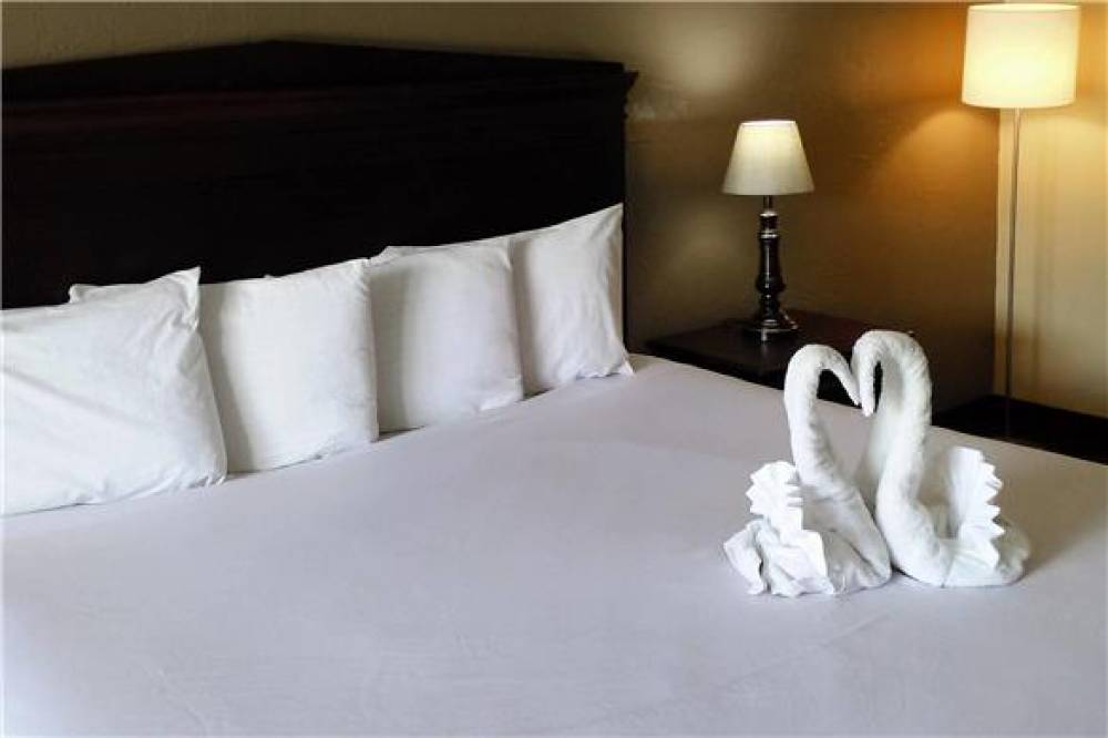 ECONO LODGE ORMOND BEACH NORTH - DA 10