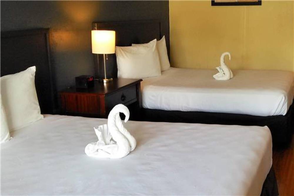 ECONO LODGE ORMOND BEACH NORTH - DA 7