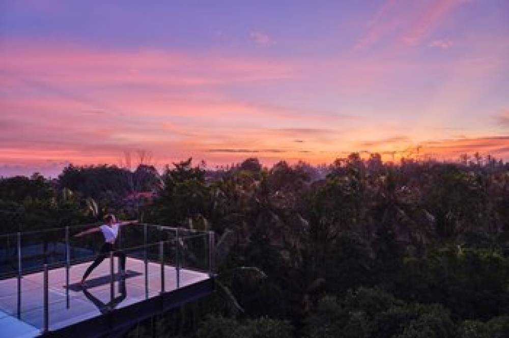 Element Bali Ubud 1