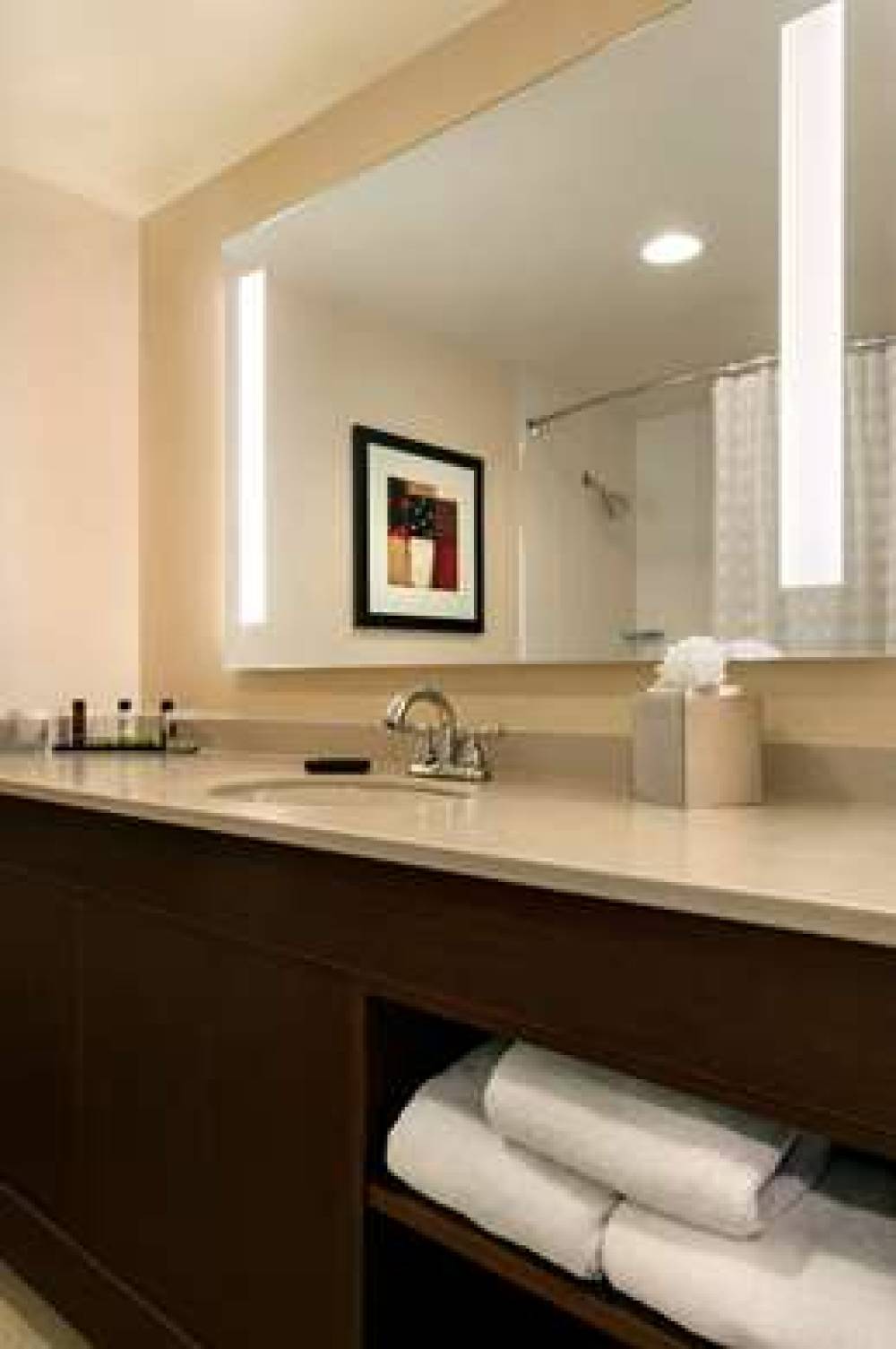 Embassy Suites By Hilton Chicago-North Shore-Deer 7