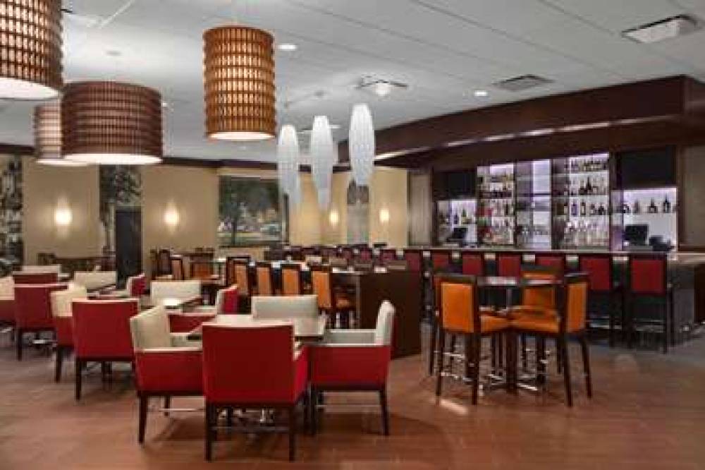 Embassy Suites By Hilton Chicago-O&apos;Hare Rose 6