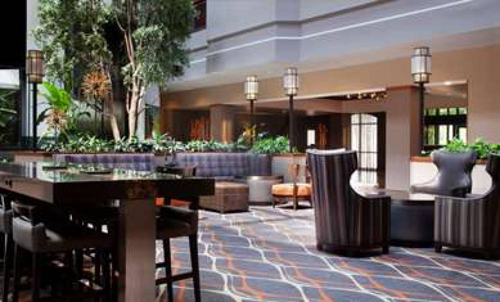 Embassy Suites By Hilton Dallas-Near The Galleria 7