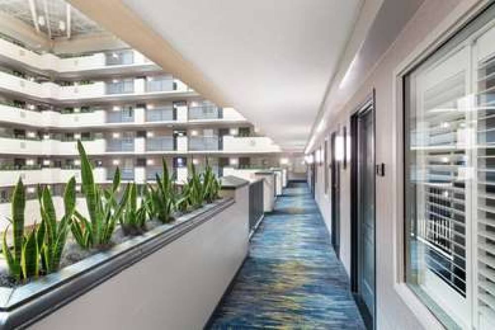 Embassy Suites By Hilton Orlando Airport 4