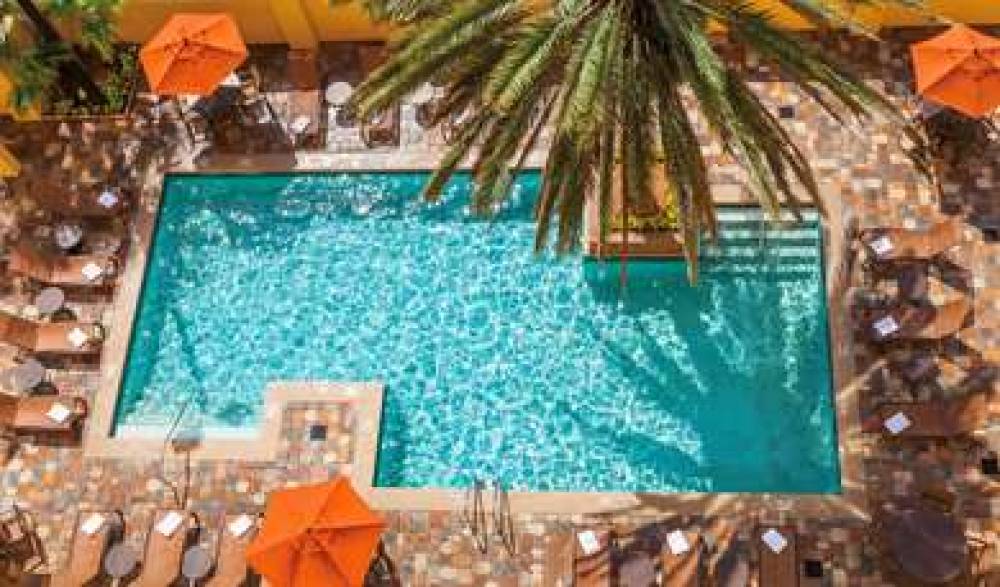 Embassy Suites By Hilton Orlando-Int'l Drive 6