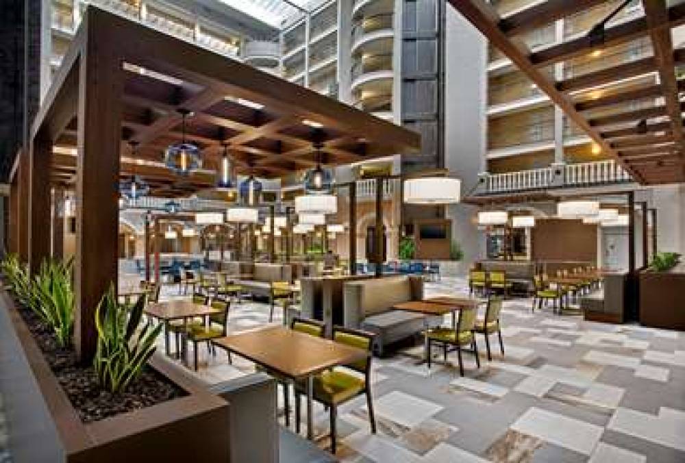 Embassy Suites By Hilton Orlando-Int'l Drive 5