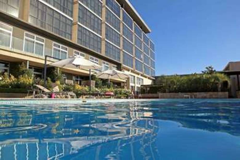 ESPLENDOR MENDOZA 10
