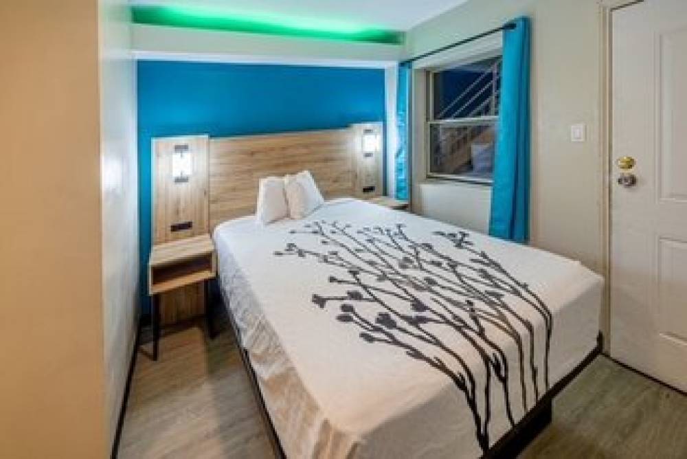 Exclusivo Inn By OYO 5