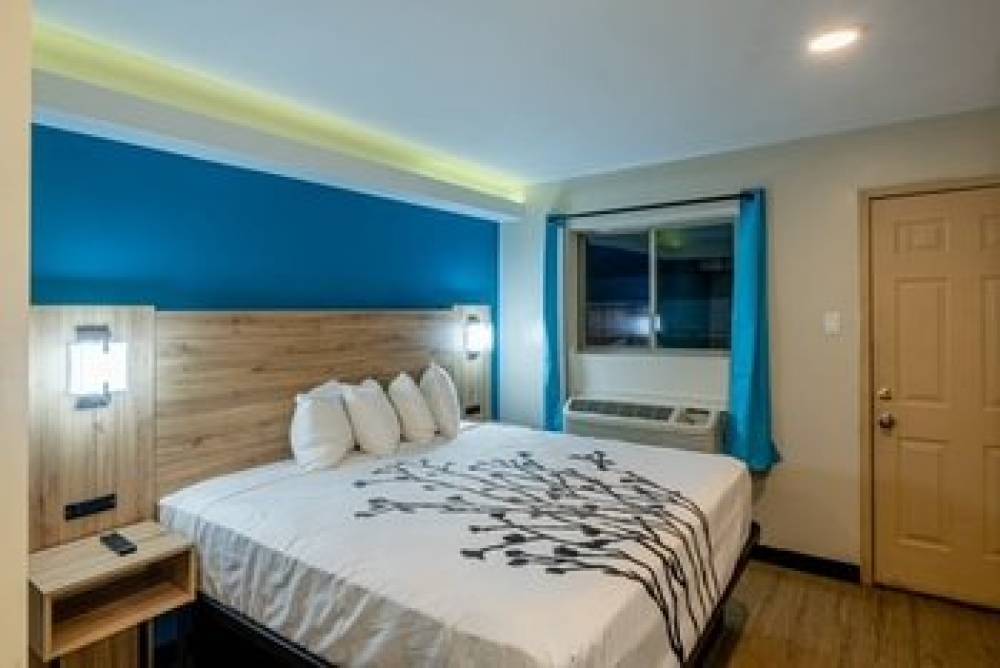 Exclusivo Inn By OYO 6