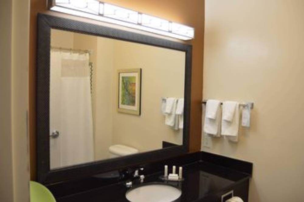 Fairfield Inn And Suites By Marriott Houston Channelview 10
