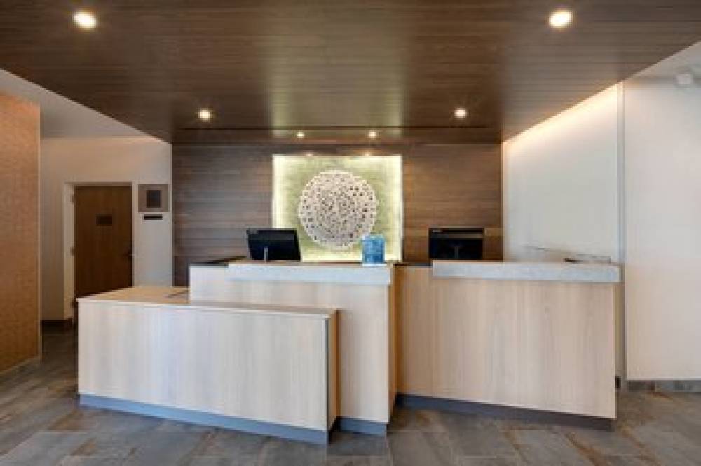 Fairfield Inn And Suites By Marriott Tampa Wesley Chapel 4