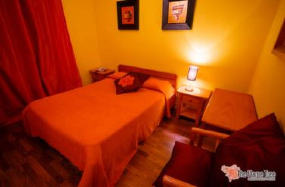FLAME TREE MADEIRA GUEST HOUSE 9