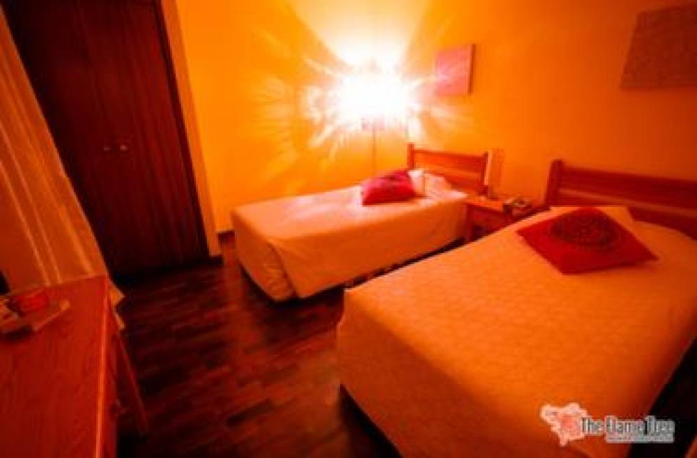 FLAME TREE MADEIRA GUEST HOUSE 5