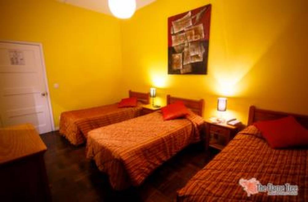 FLAME TREE MADEIRA GUEST HOUSE 10