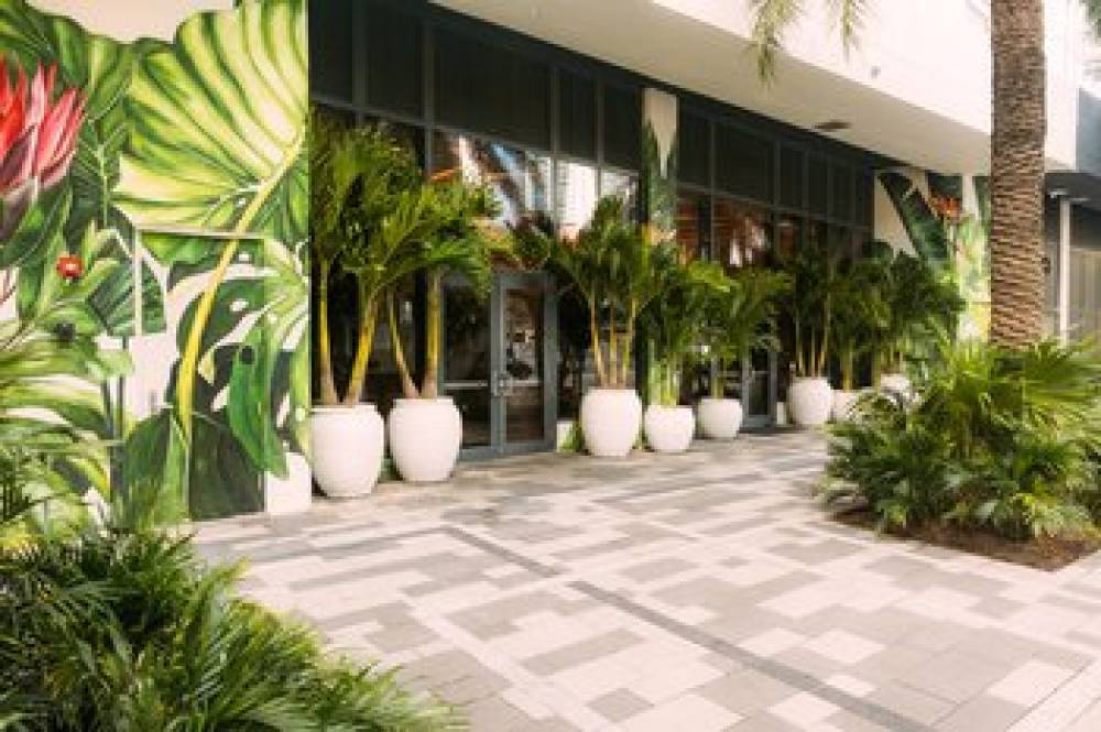 Flow Miami