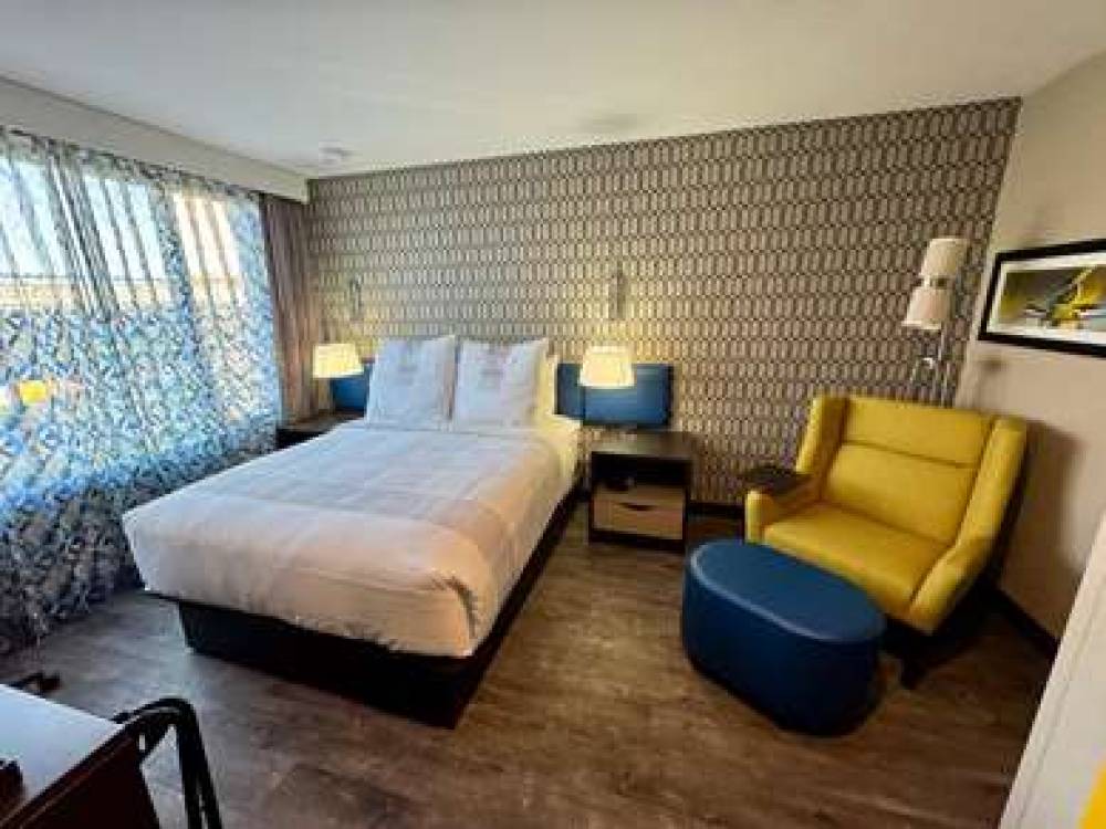 GLo Best Western Bronx NYC 4