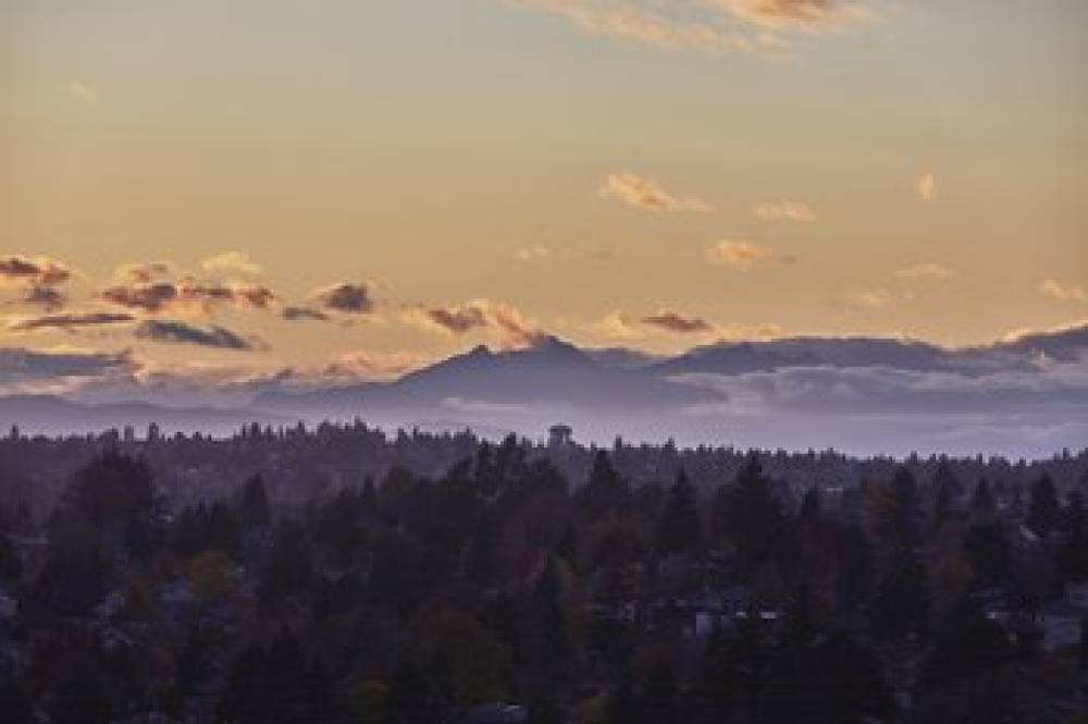 GRADUATE BY HILTON SEATTLE 5