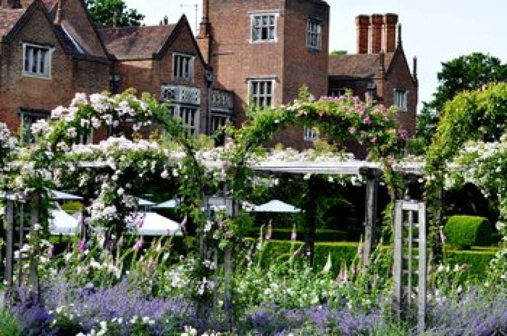 GREAT FOSTERS 8