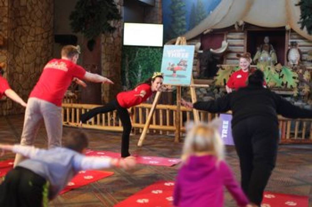 Great Wolf Lodge Charlotte 9