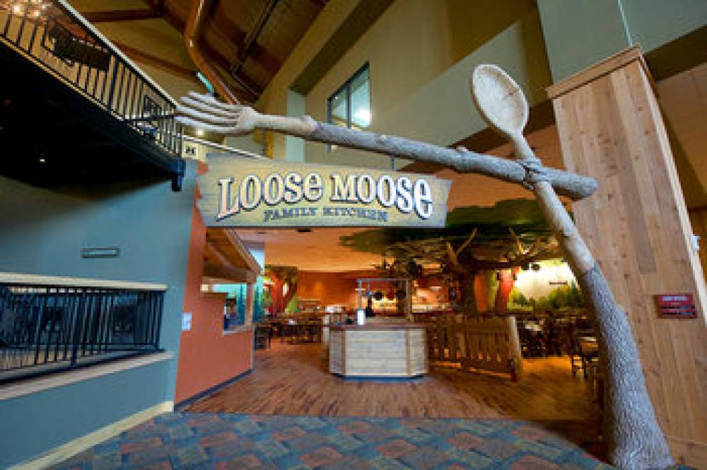 GREAT WOLF LODGE SOCAL 10